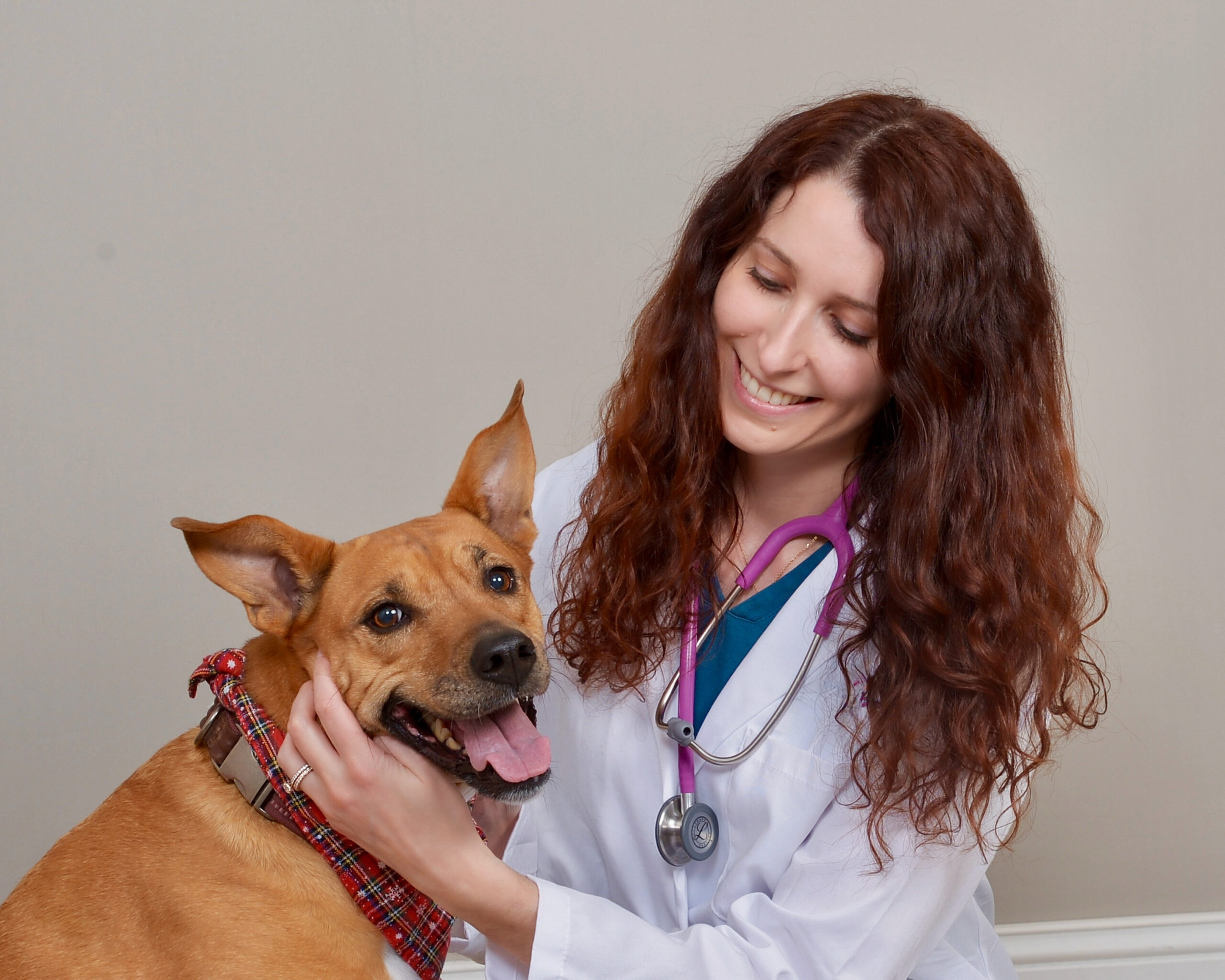 Gems Veterinary Urgent Care