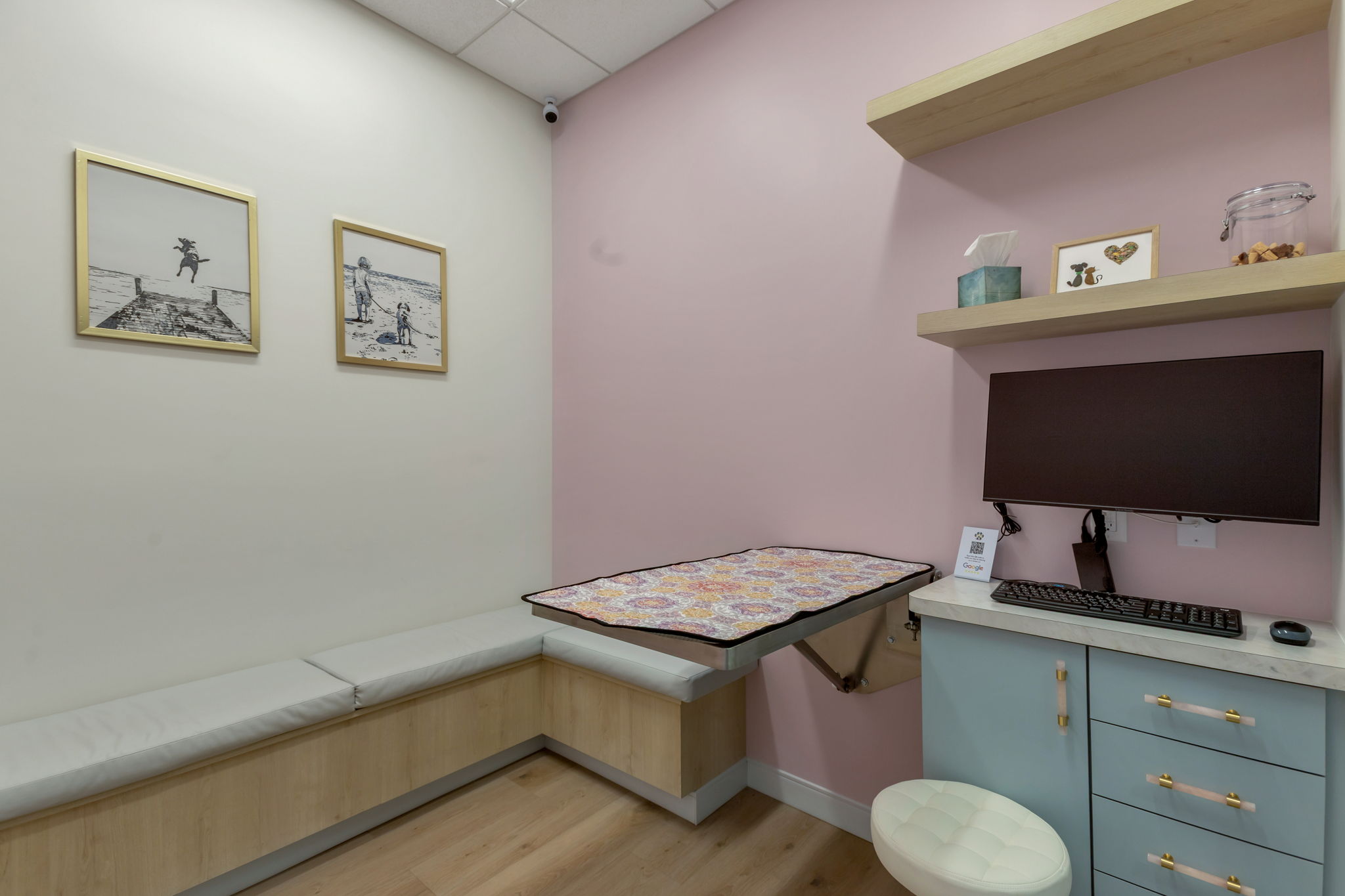 Contact Us 11 Gems Veterinary diagnostics area