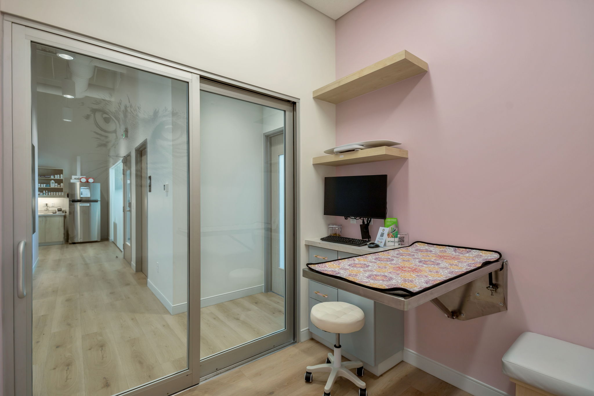 Contact Us 9 Gems Veterinary care area