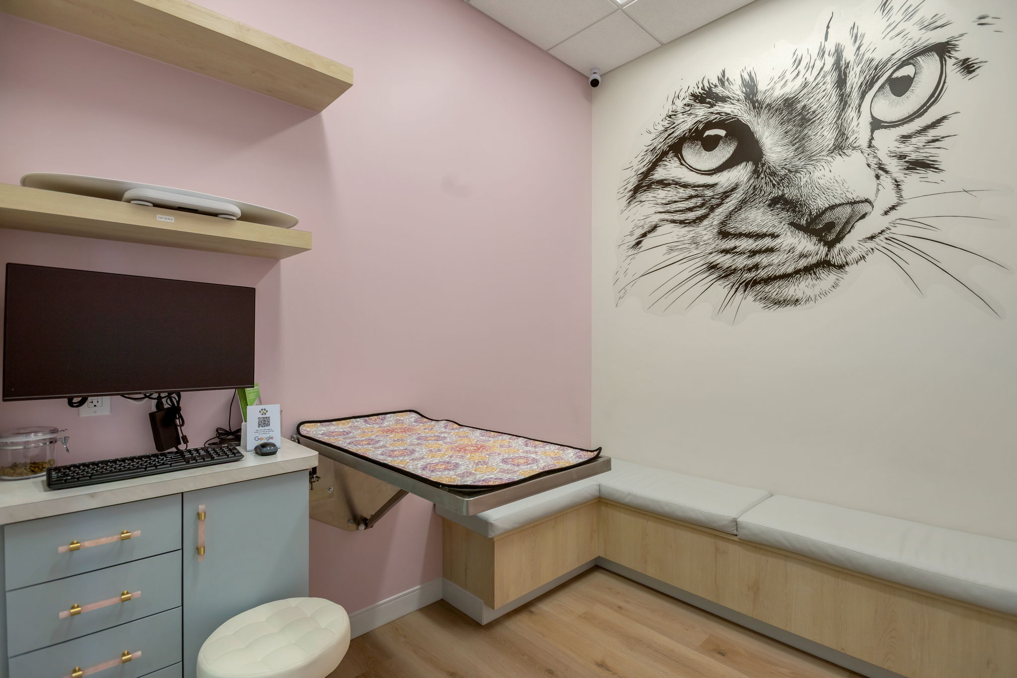 Contact Us 10 Gems Veterinary open concept clinic